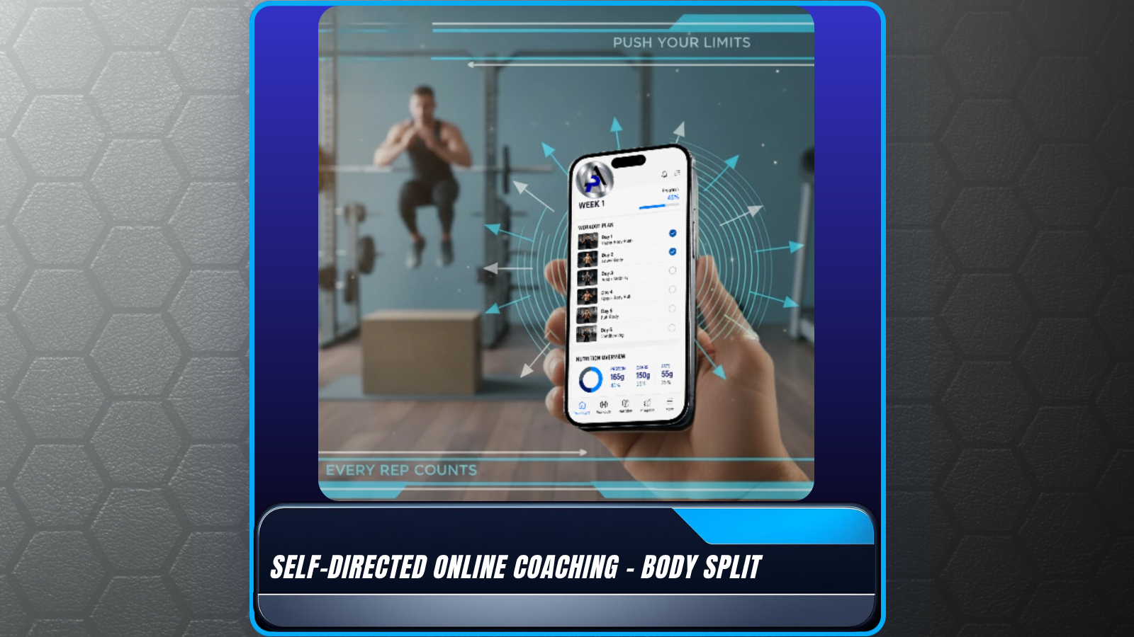 Online Coaching Body Split