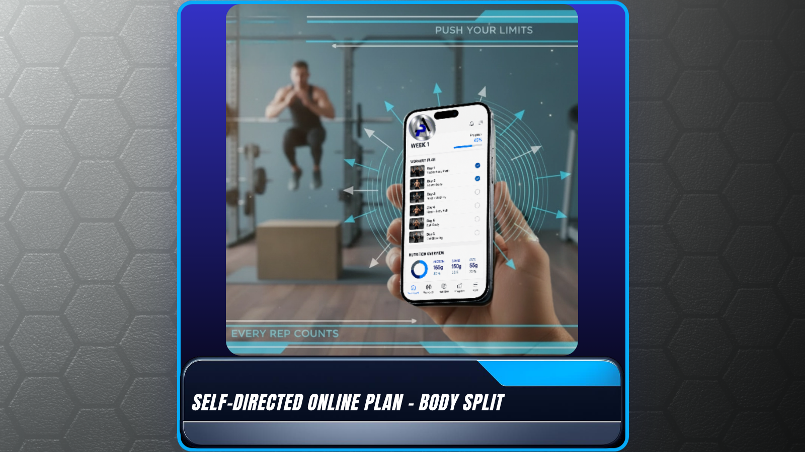 Online Plan Body Split